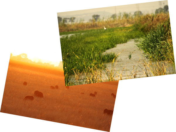 Imagem do projecto: ALR-Origem.jpg